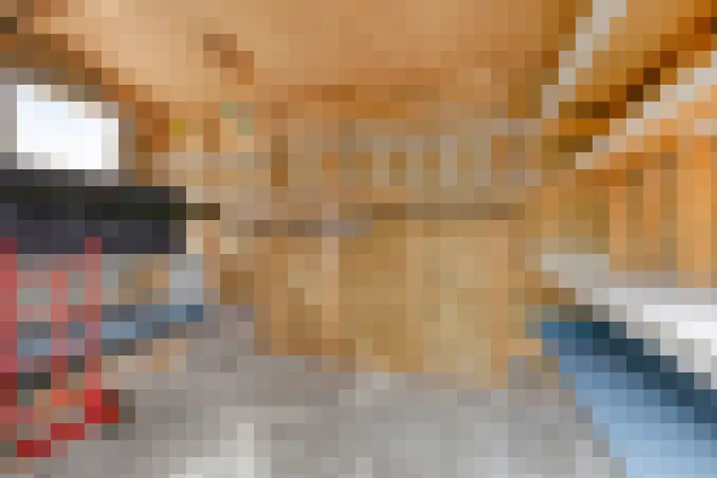 Dorpsweg 200 Twisk thumbnail 43
