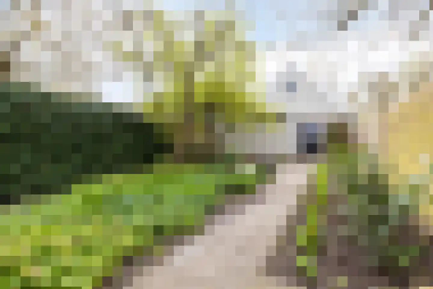 Dorpsweg 200 Twisk thumbnail 5