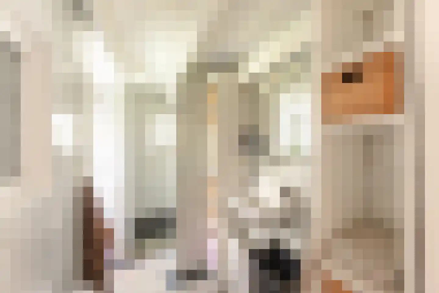 Dorpsweg 22 Cornwerd thumbnail 15