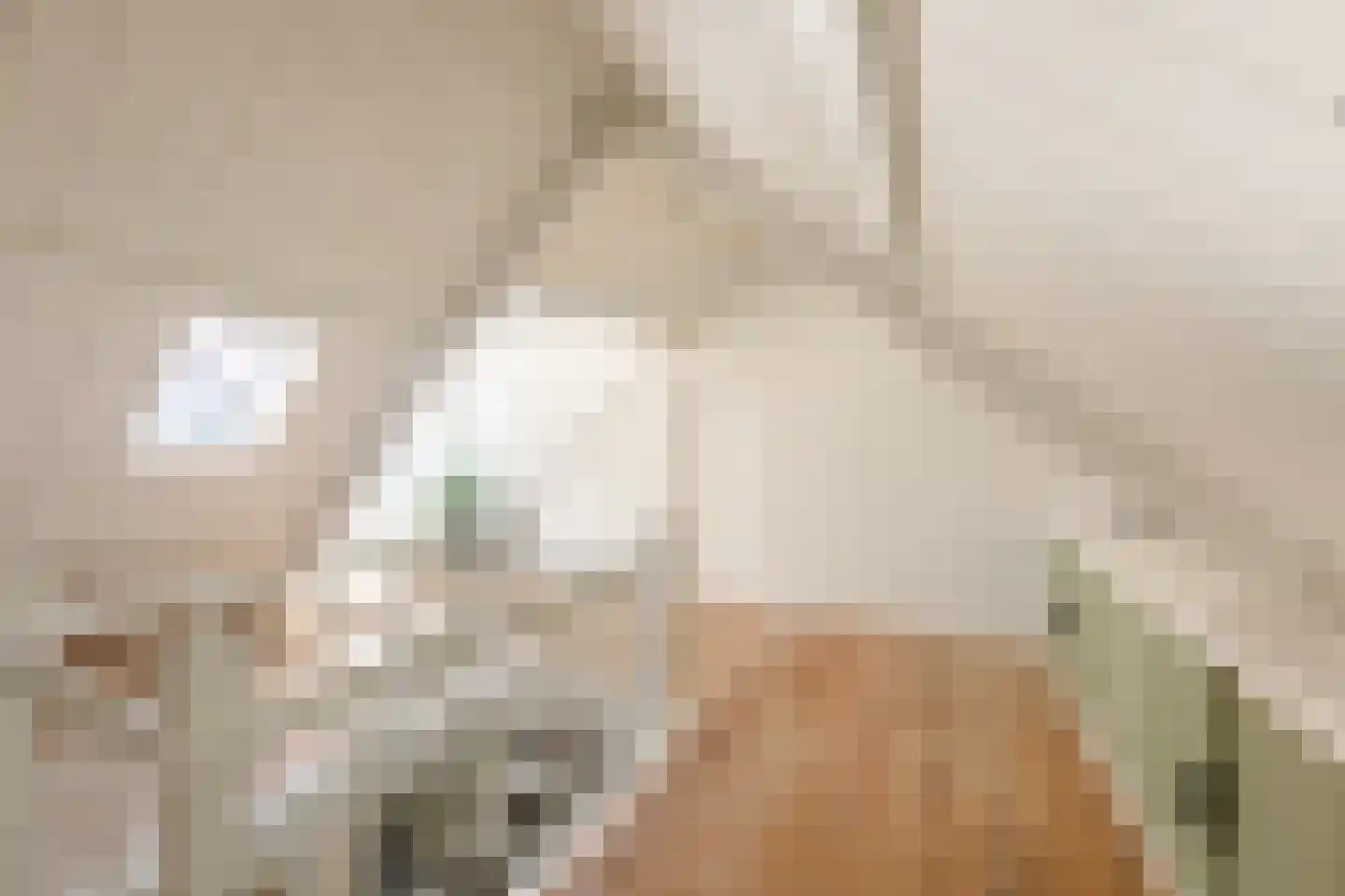 Dorpsweg 22 Cornwerd thumbnail 20