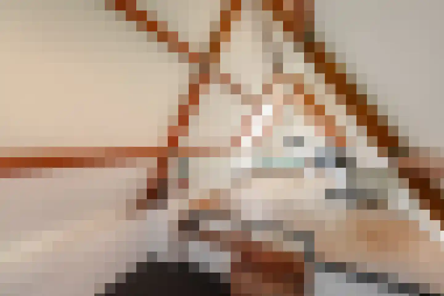 Dorpsweg 22 Cornwerd thumbnail 21