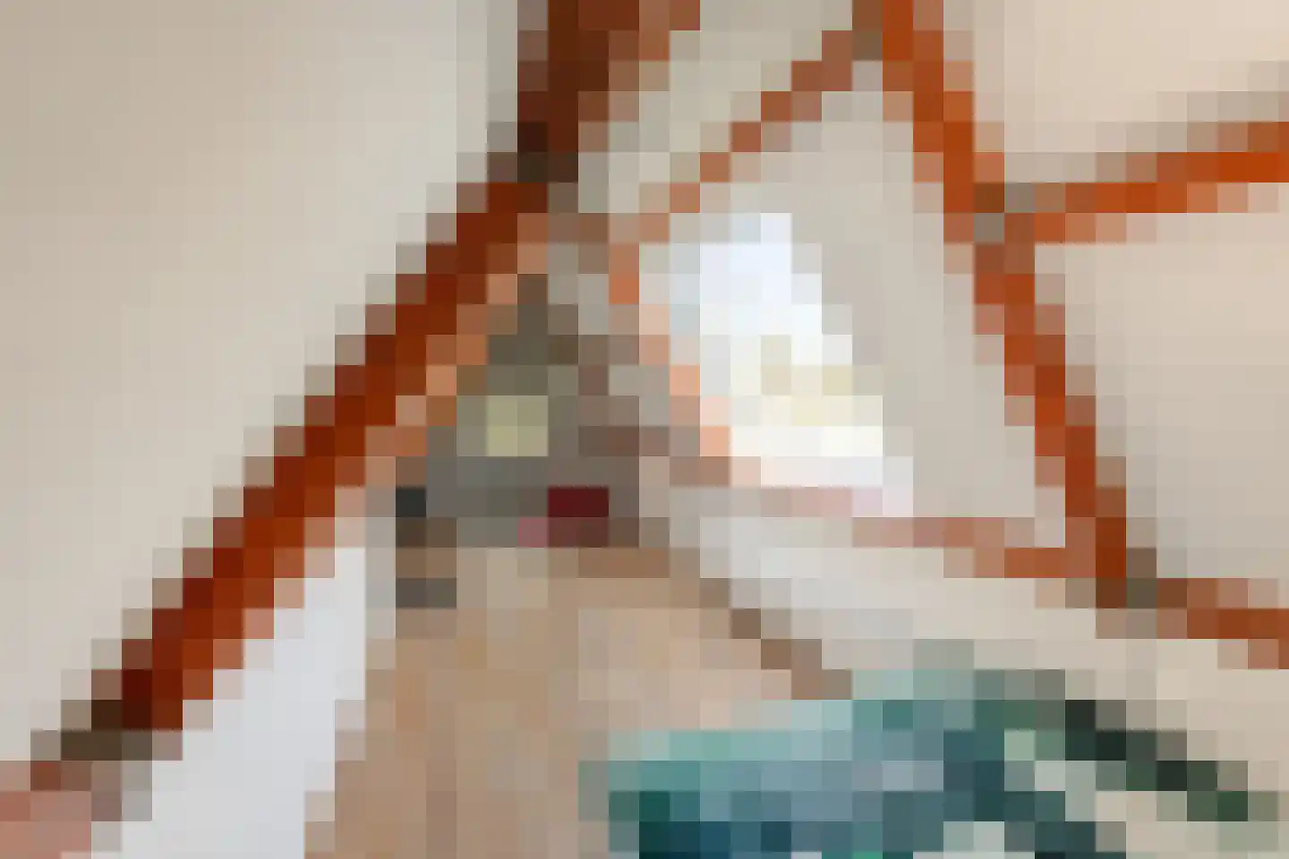 Dorpsweg 22 Cornwerd thumbnail 22