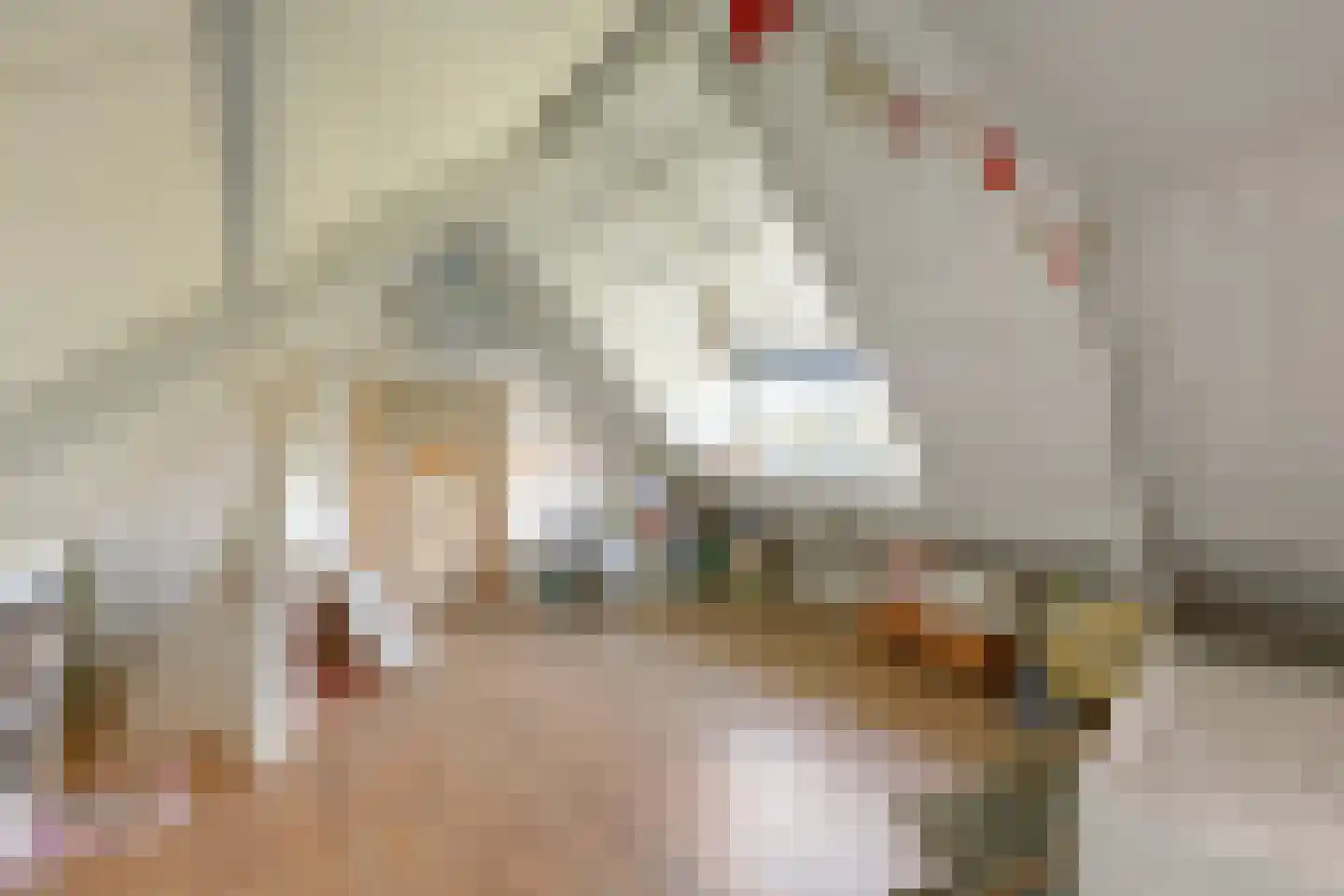 Dorpsweg 22 Cornwerd thumbnail 24