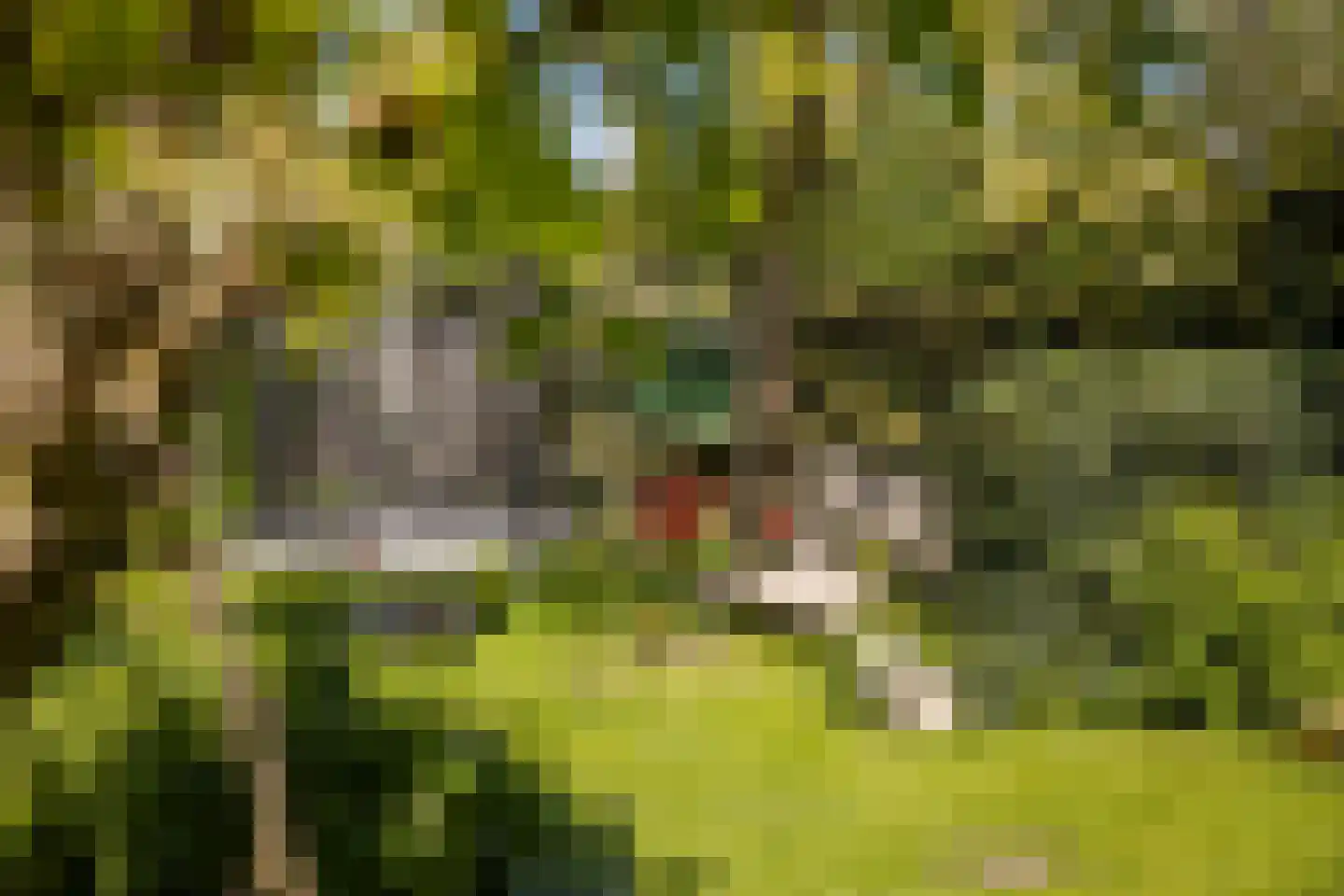 Dorpsweg 22 Cornwerd thumbnail 28