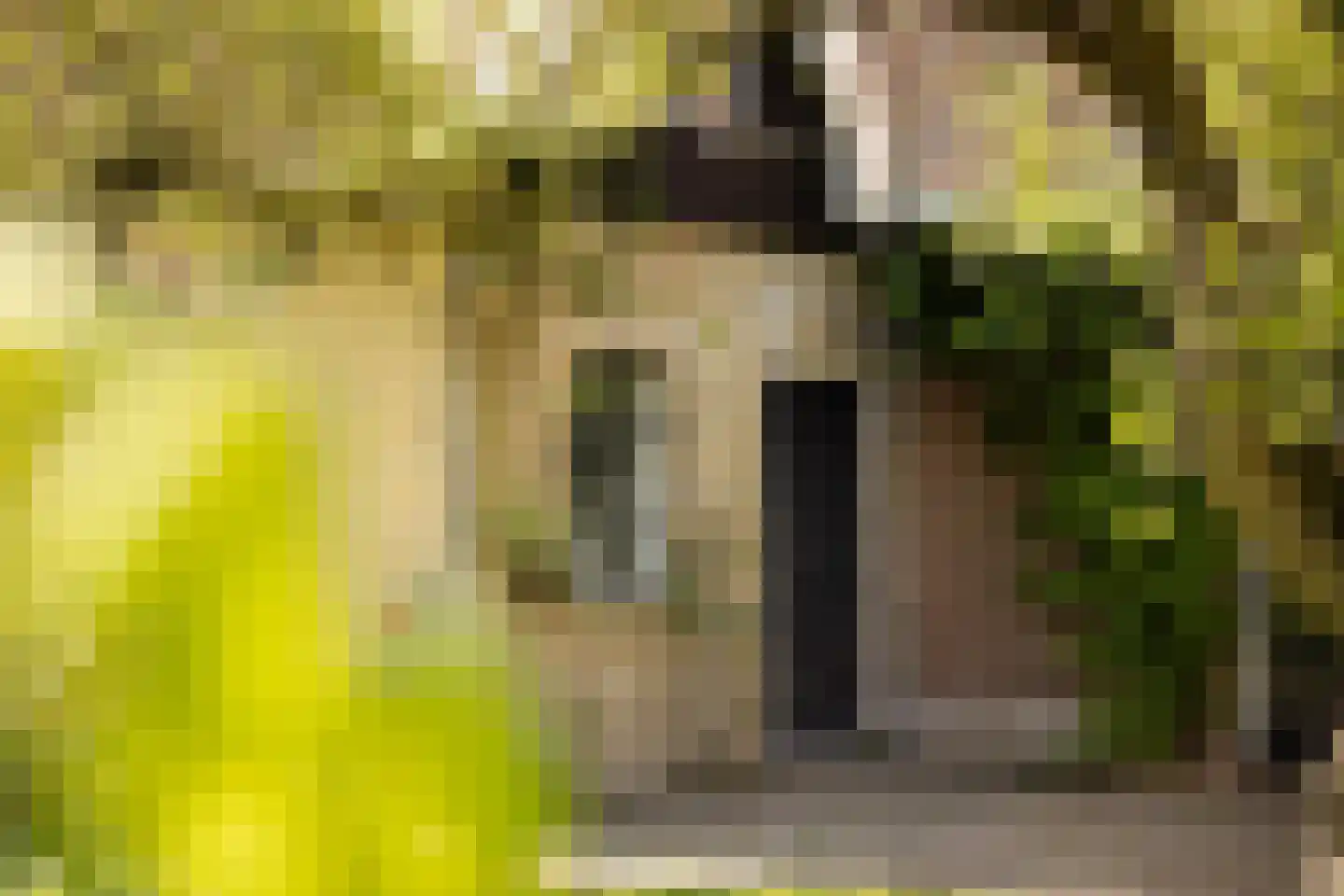 Dorpsweg 22 Cornwerd thumbnail 29