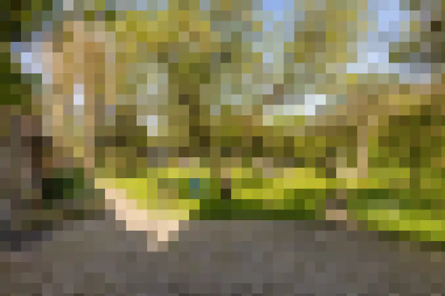 Dorpsweg 22 Cornwerd thumbnail 30