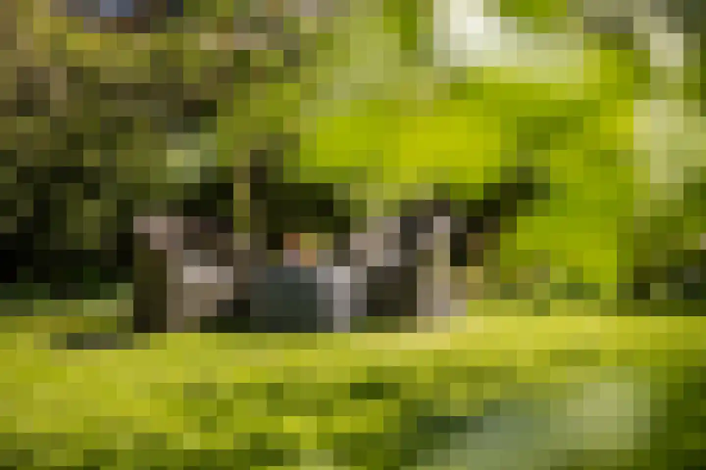 Dorpsweg 22 Cornwerd thumbnail 31