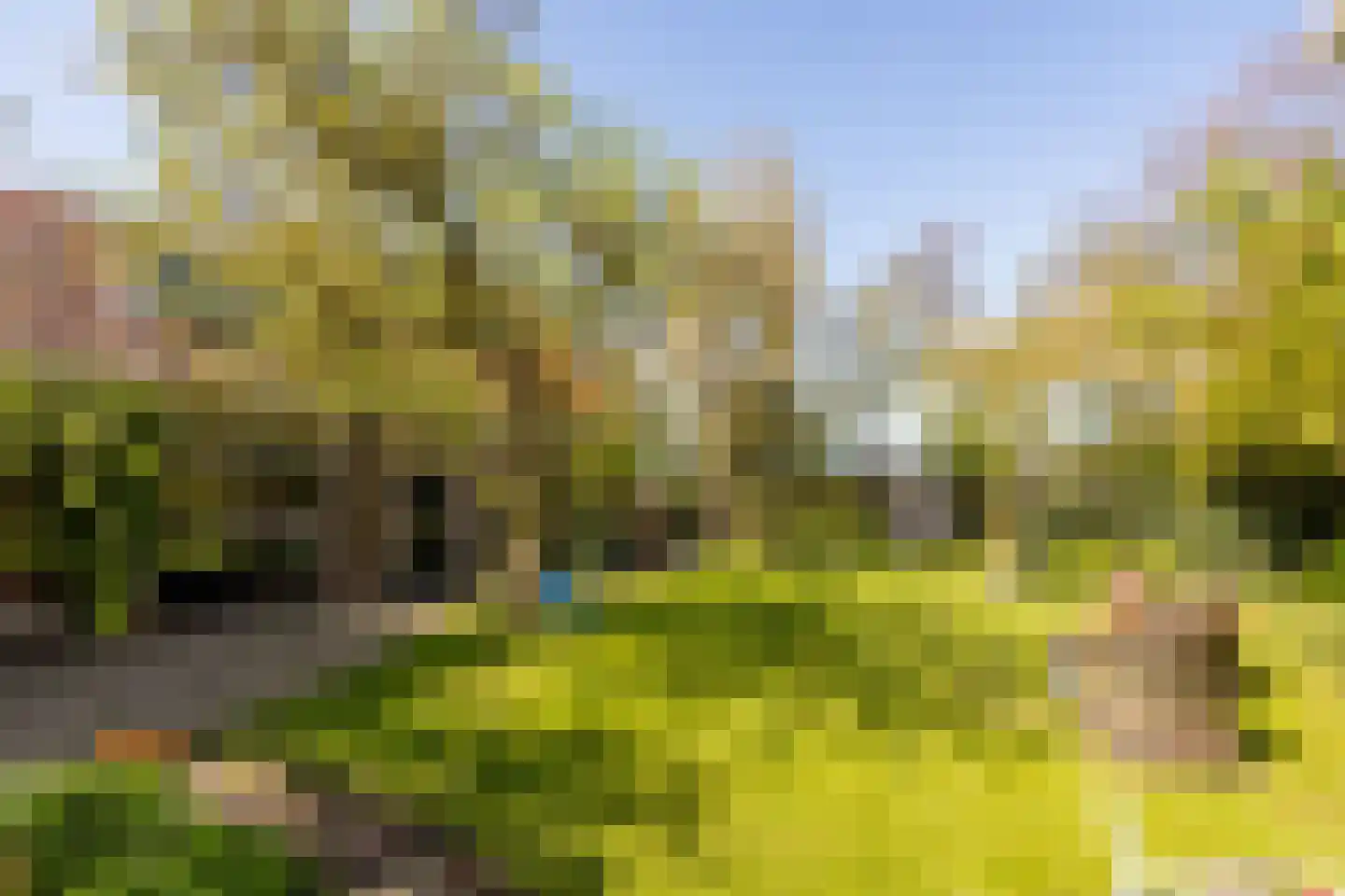 Dorpsweg 22 Cornwerd thumbnail 32