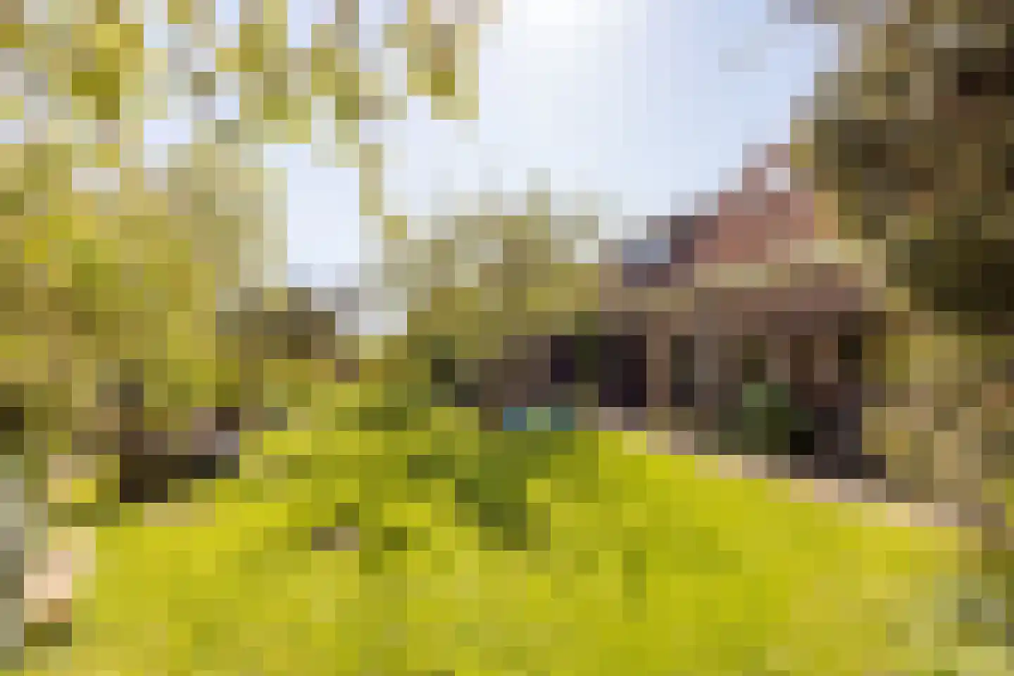 Dorpsweg 22 Cornwerd thumbnail 33