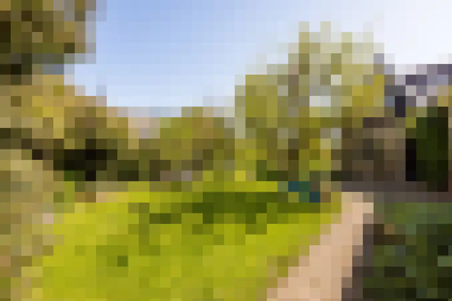 Dorpsweg 22 Cornwerd thumbnail 34