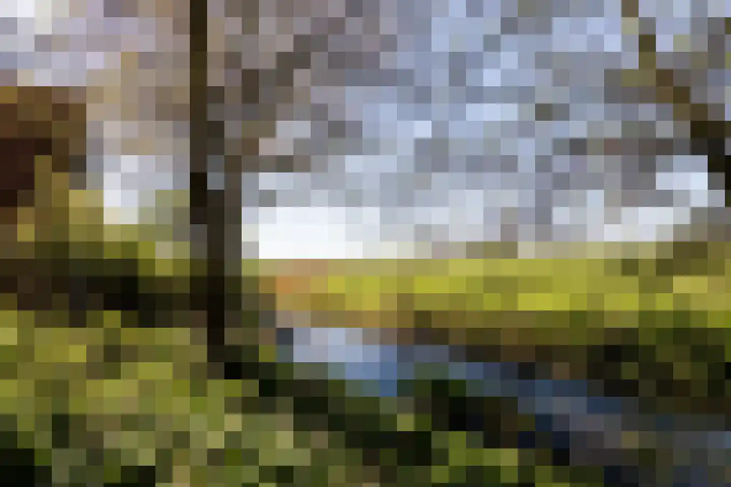 Dorpsweg 22 Cornwerd thumbnail 35