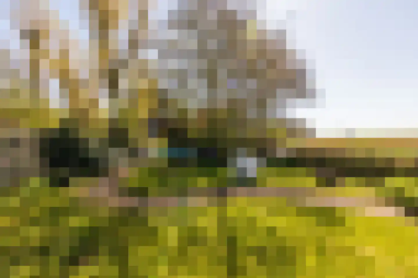 Dorpsweg 22 Cornwerd thumbnail 36