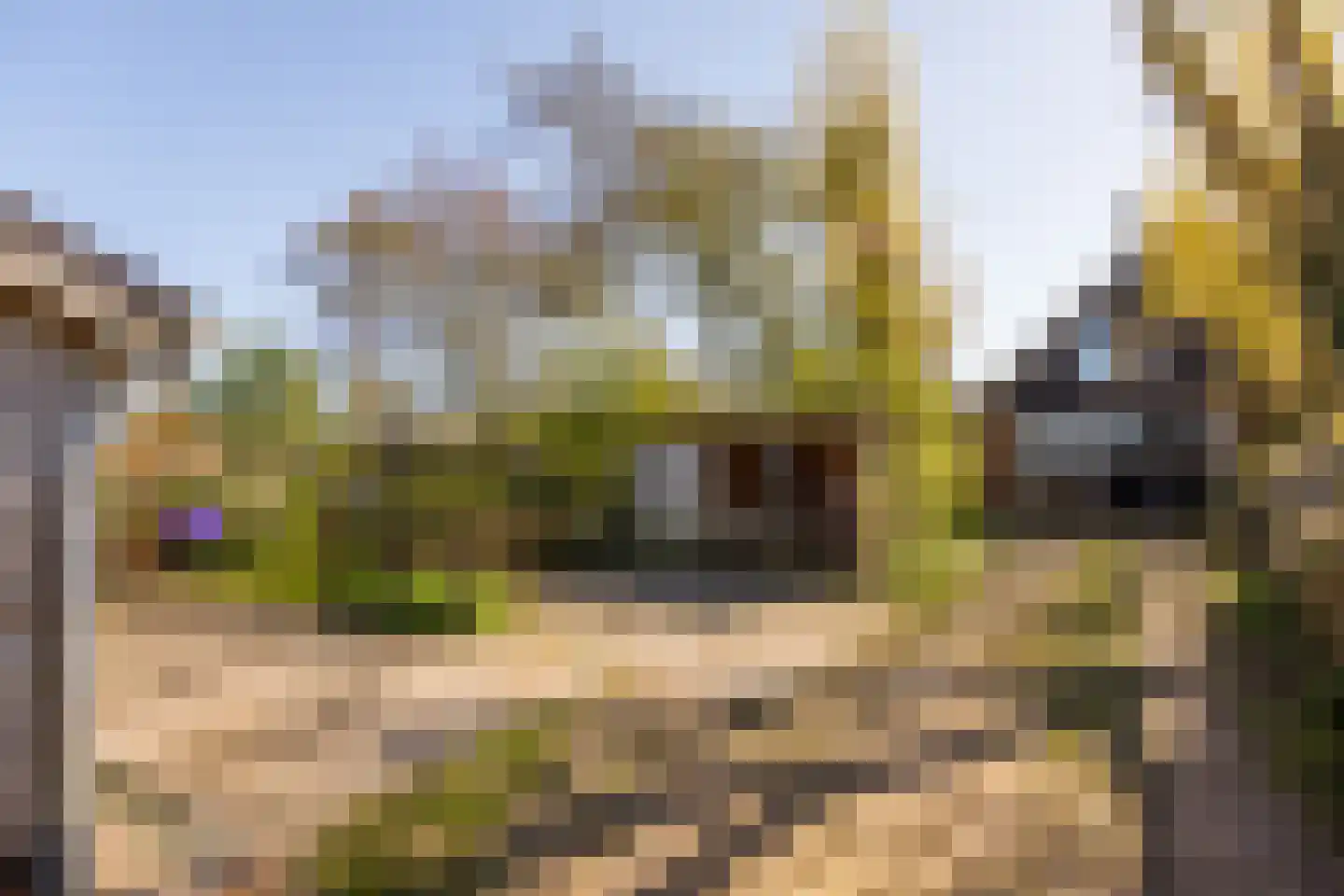 Dorpsweg 22 Cornwerd thumbnail 37