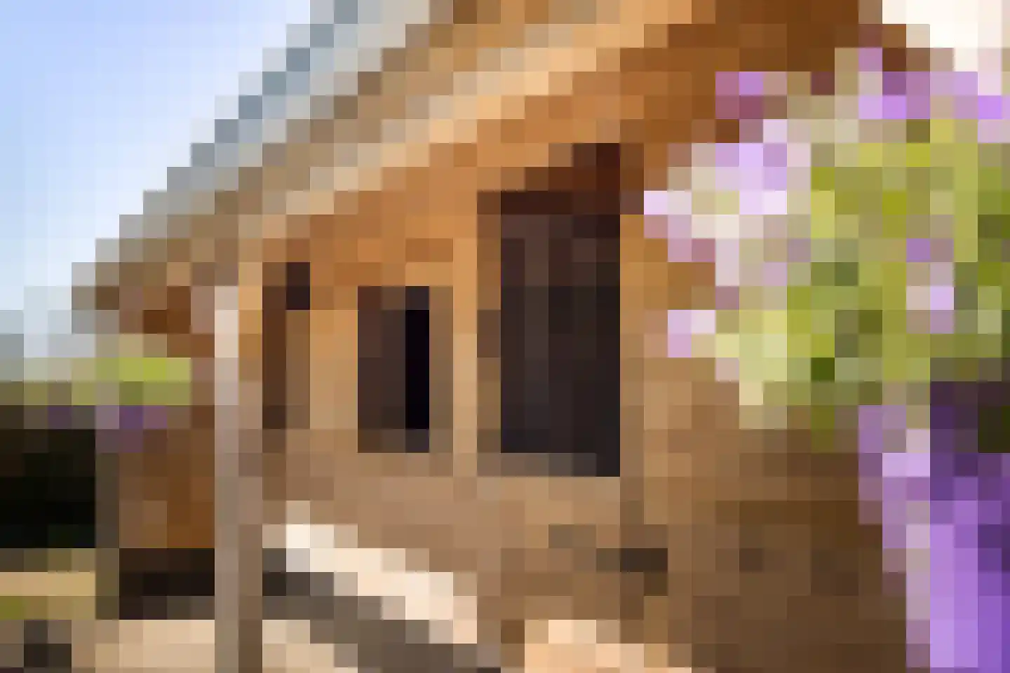 Dorpsweg 22 Cornwerd thumbnail 40