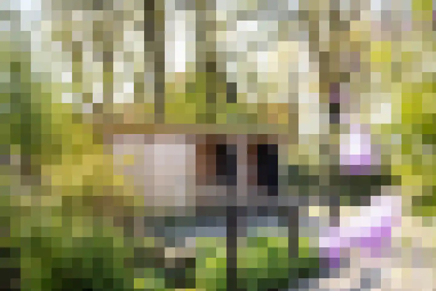 Dorpsweg 22 Cornwerd thumbnail 41