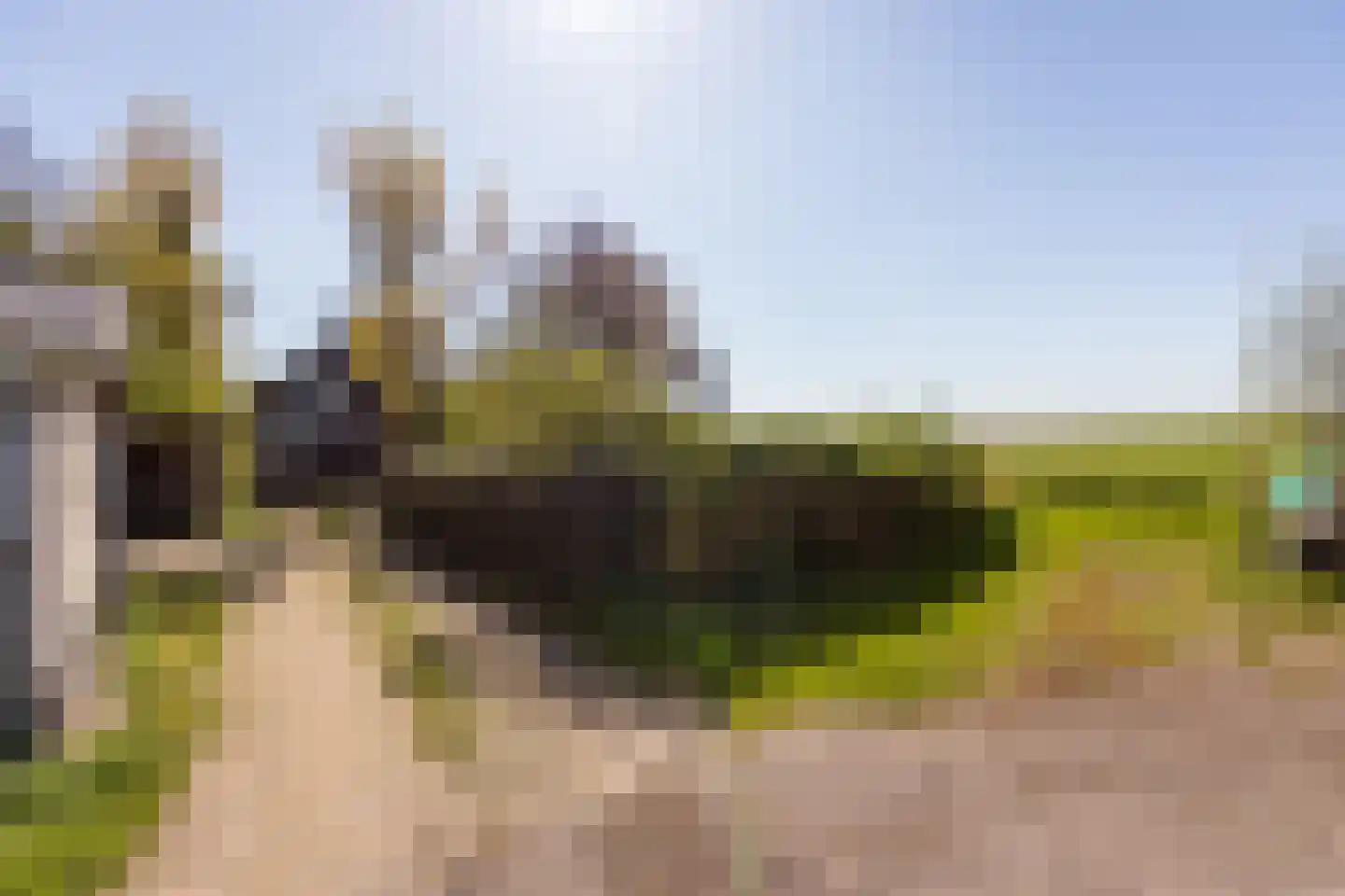 Dorpsweg 22 Cornwerd thumbnail 42