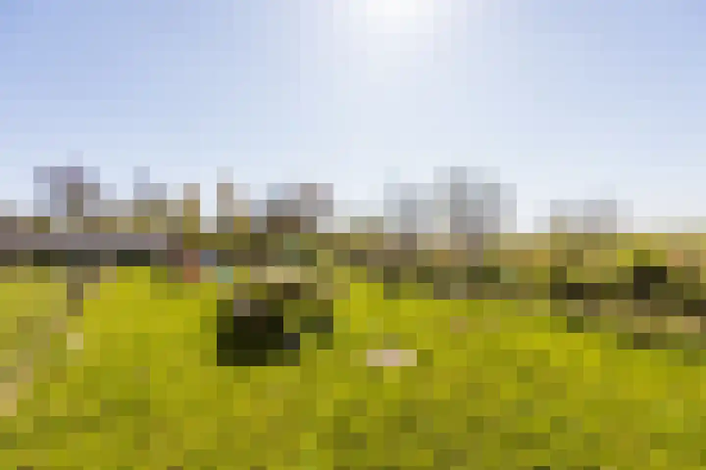 Dorpsweg 22 Cornwerd thumbnail 44
