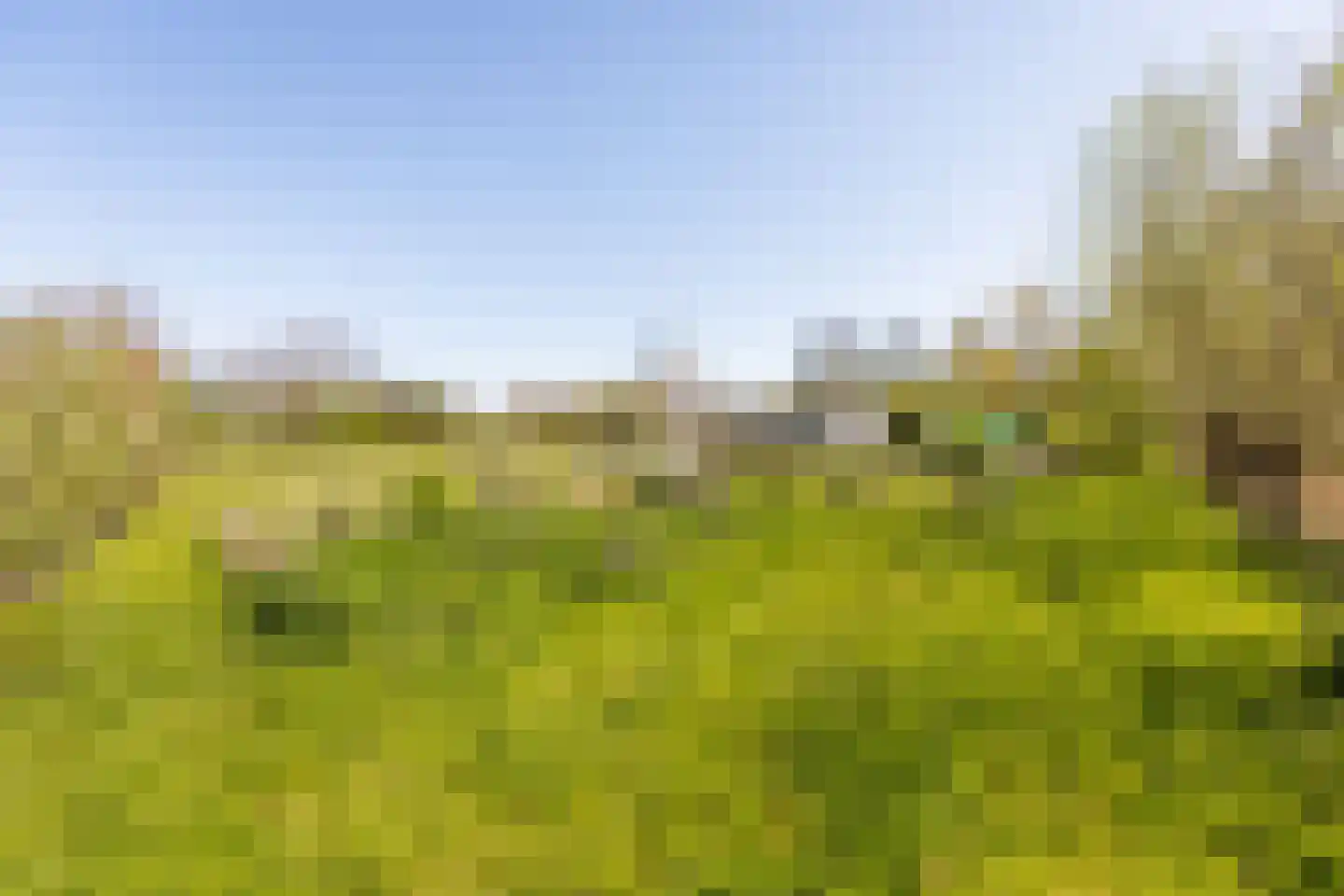 Dorpsweg 22 Cornwerd thumbnail 45