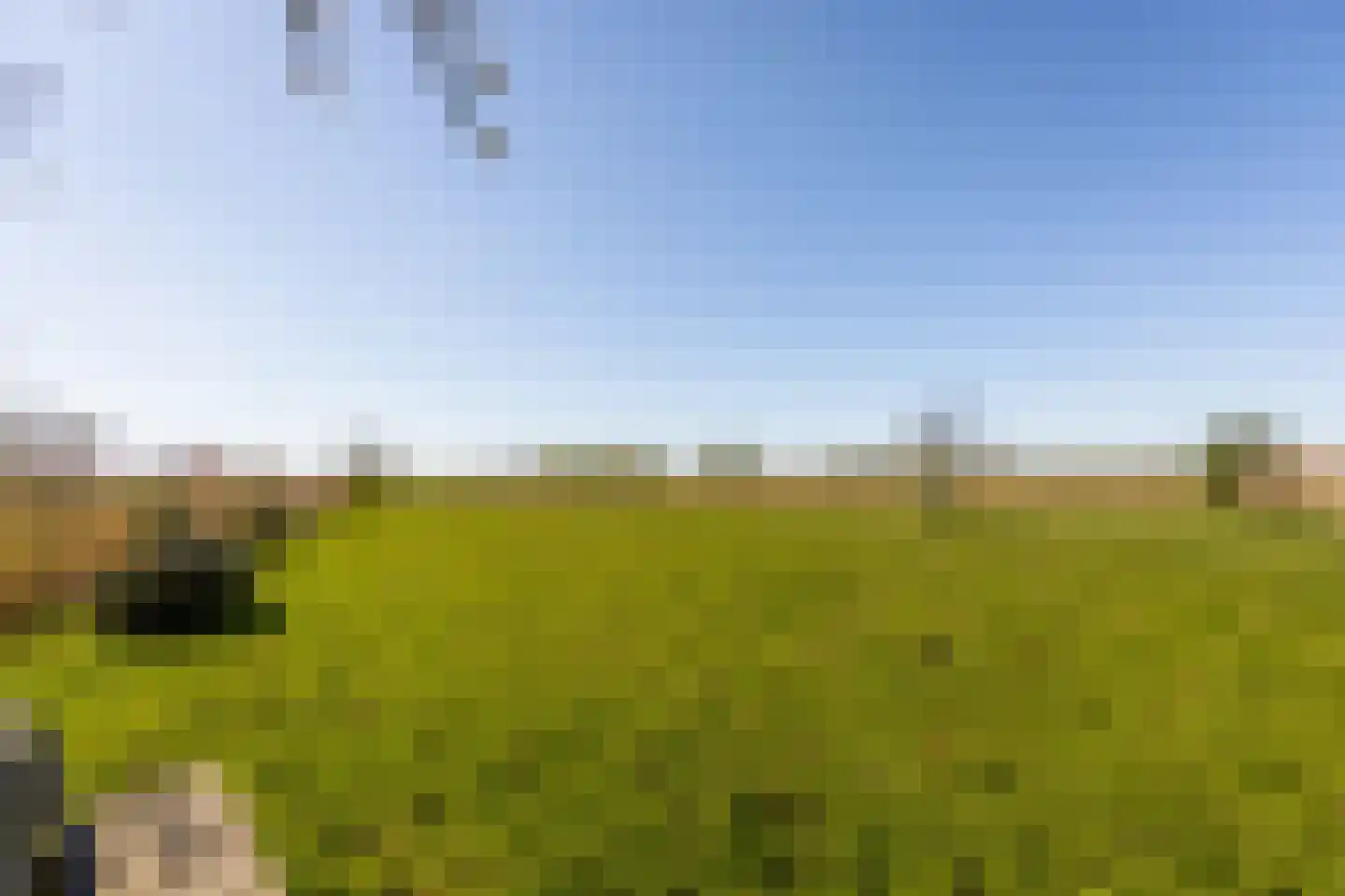 Dorpsweg 22 Cornwerd thumbnail 46