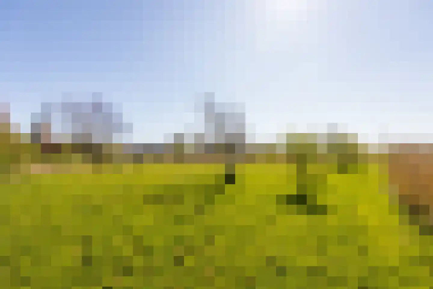 Dorpsweg 22 Cornwerd thumbnail 47