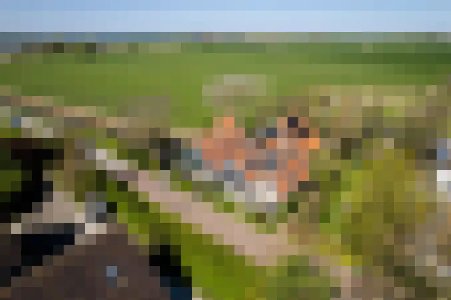Dorpsweg 22 Cornwerd thumbnail 49