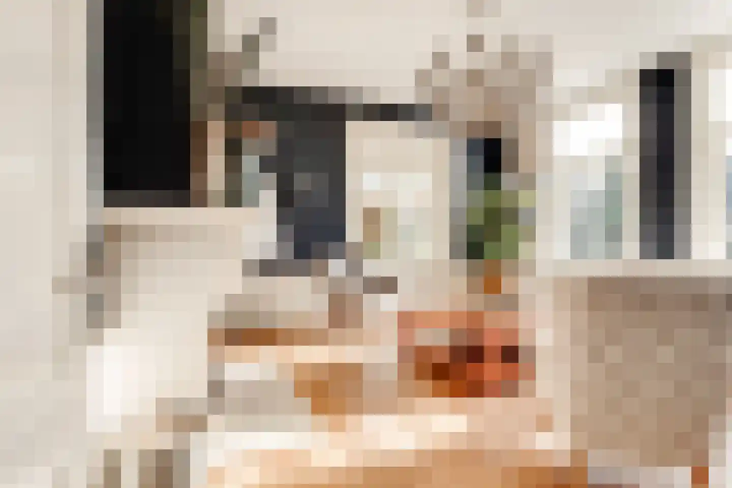 Dorpsweg 23 Maartensdijk thumbnail 12