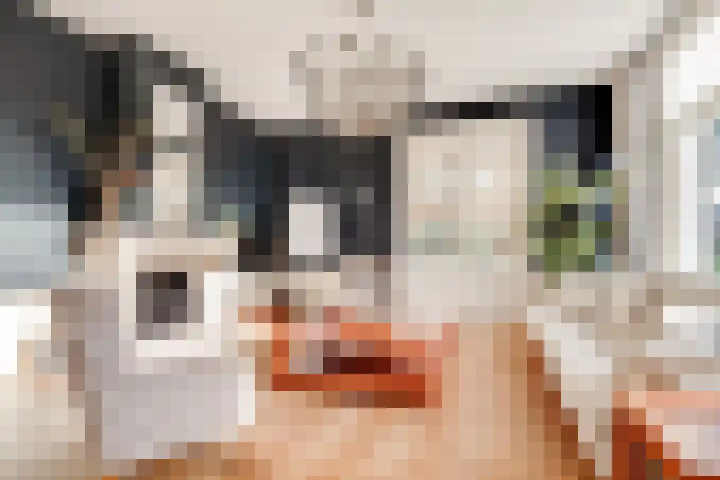 Dorpsweg 23 Maartensdijk thumbnail 13