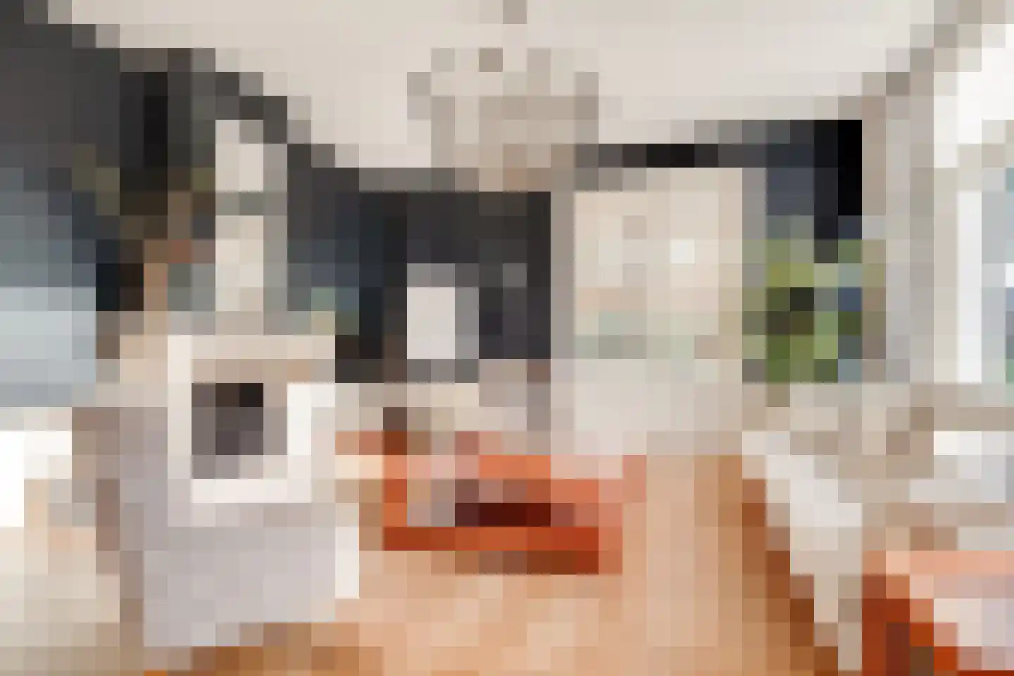 Dorpsweg 23 Maartensdijk thumbnail 13
