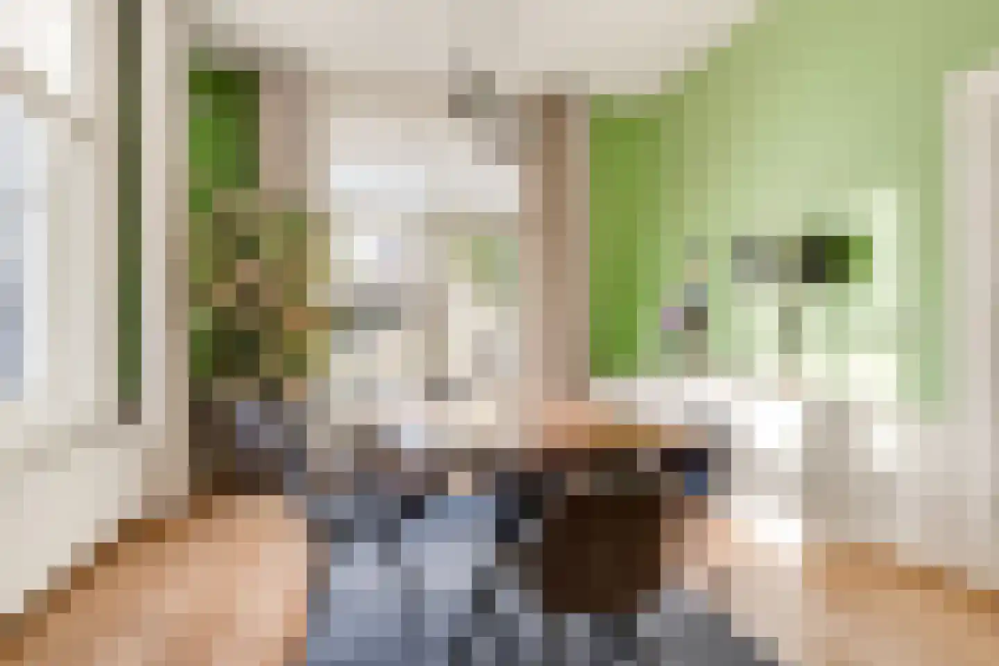 Dorpsweg 23 Maartensdijk thumbnail 14