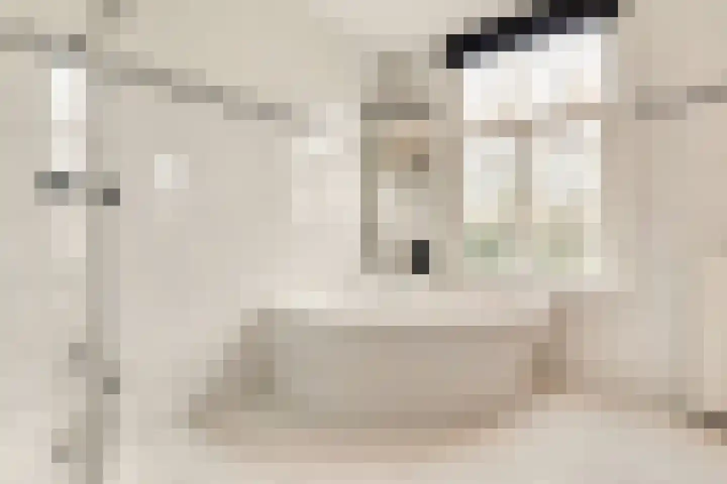 Dorpsweg 23 Maartensdijk thumbnail 31