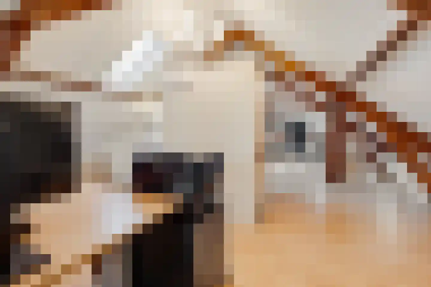 Dorpsweg 23 Maartensdijk thumbnail 37