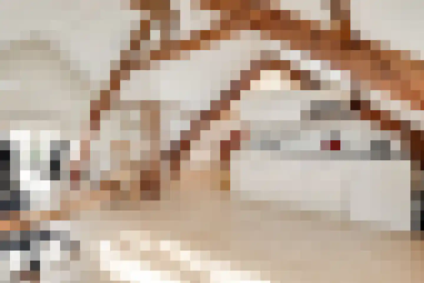 Dorpsweg 23 Maartensdijk thumbnail 39