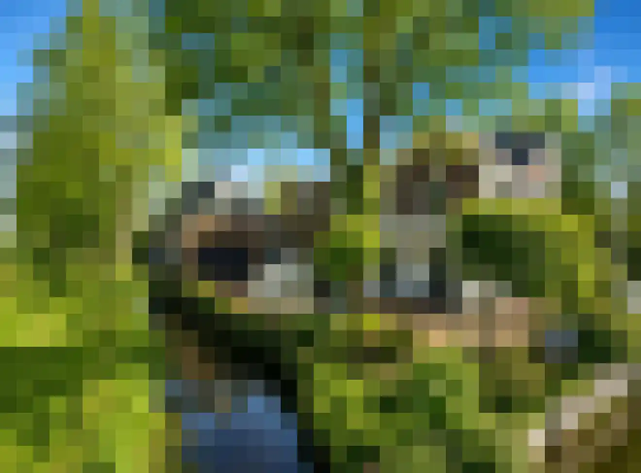 Dorpsweg 23 Maartensdijk thumbnail 4