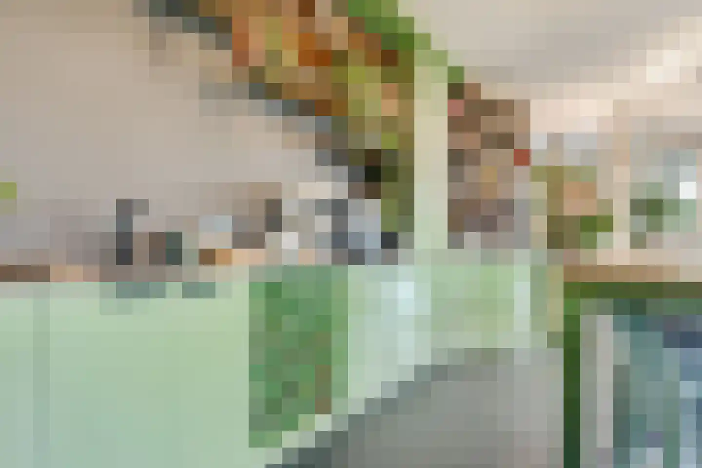 Dorpsweg 23 Maartensdijk thumbnail 42
