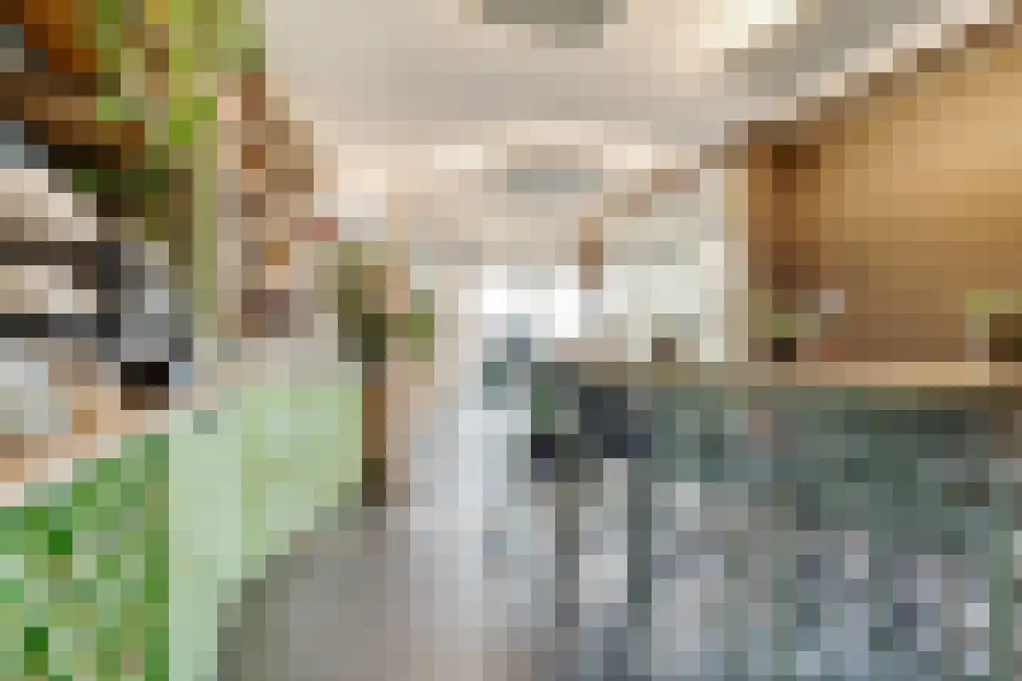 Dorpsweg 23 Maartensdijk thumbnail 43