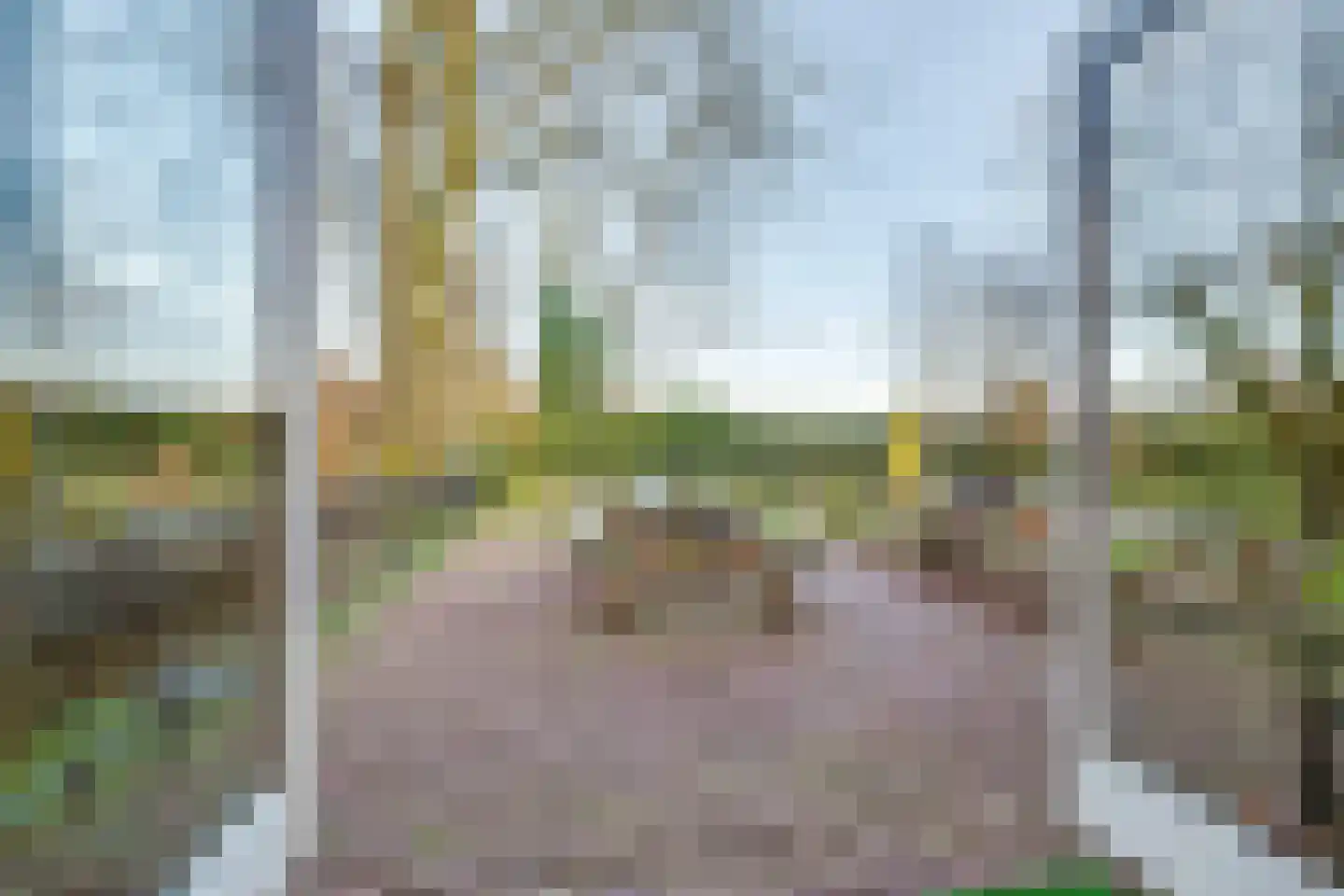 Dorpsweg 23 Maartensdijk thumbnail 51