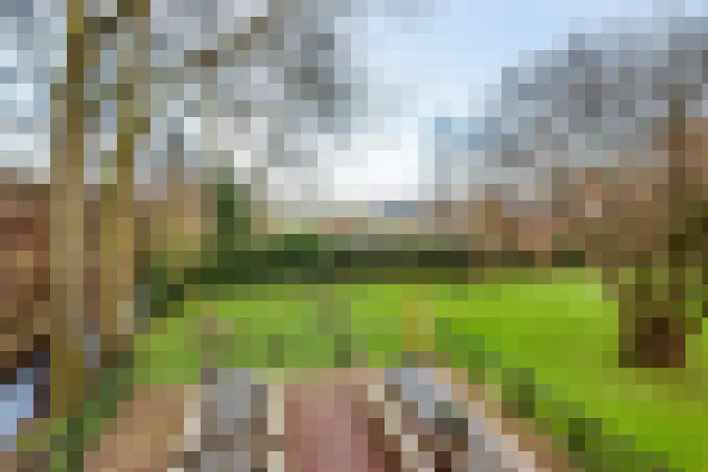 Dorpsweg 23 Maartensdijk thumbnail 60