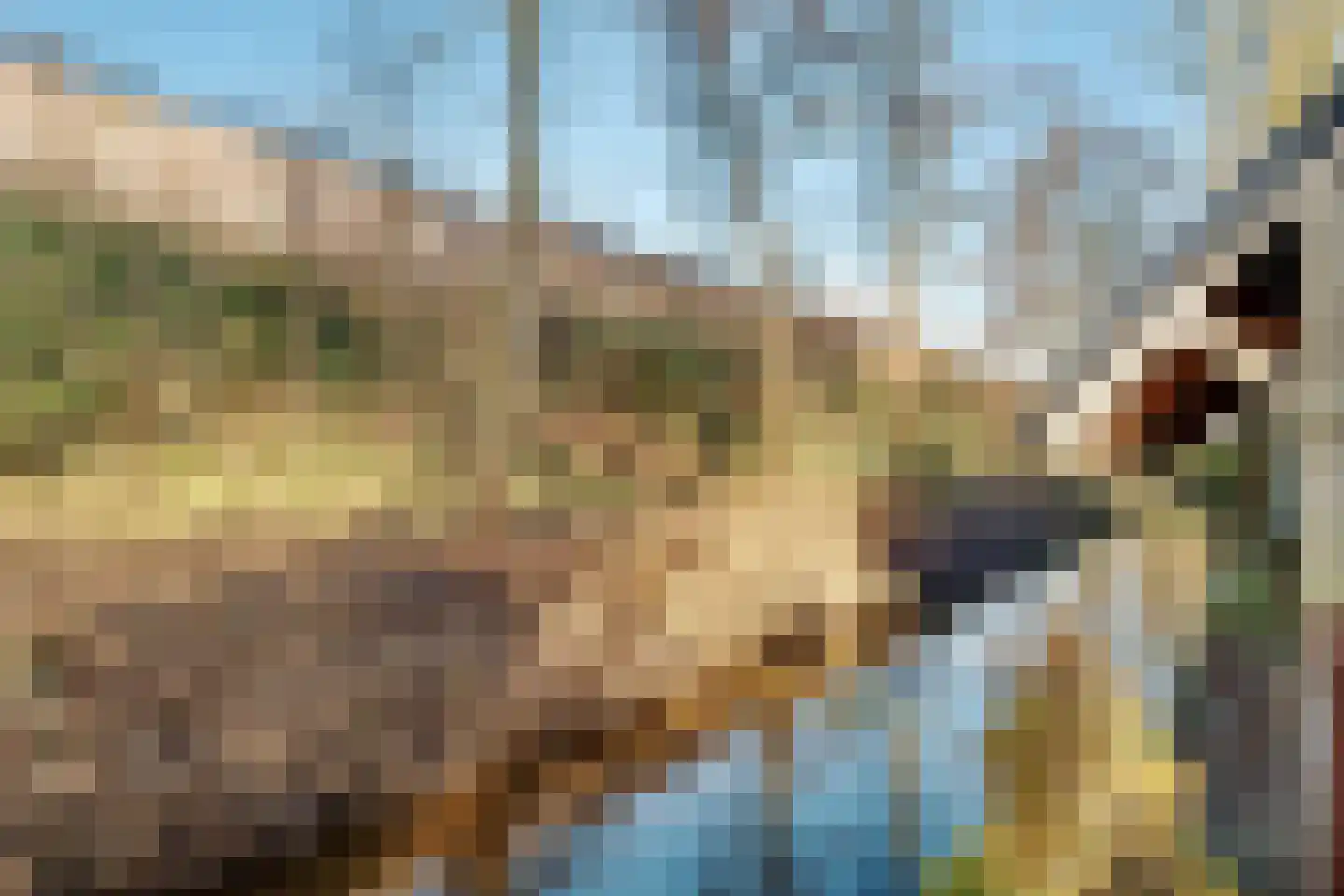 Dorpsweg 23 Maartensdijk thumbnail 65