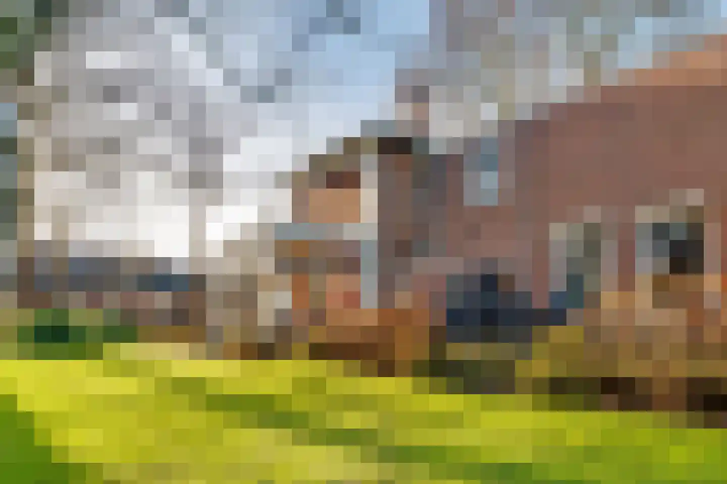Dorpsweg 23 Maartensdijk thumbnail 70