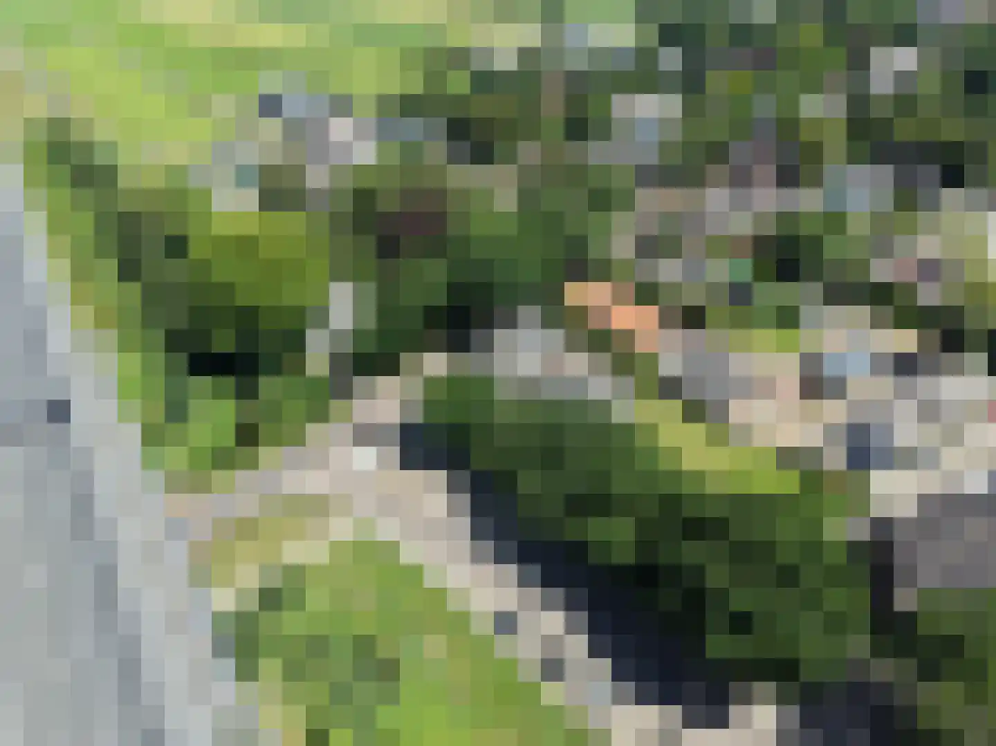 Dorpsweg 23 Maartensdijk thumbnail 72