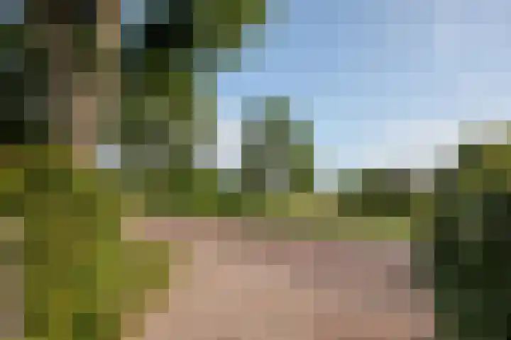 Dorpsweg 27 Idsegahuizum thumbnail 10