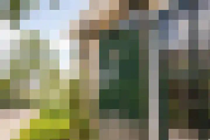 Dorpsweg 27 Idsegahuizum thumbnail 12
