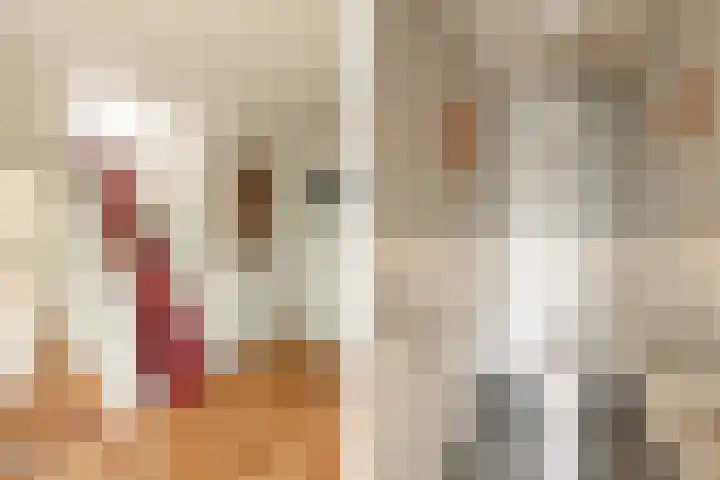 Dorpsweg 27 Idsegahuizum thumbnail 13