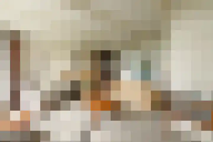 Dorpsweg 27 Idsegahuizum thumbnail 14