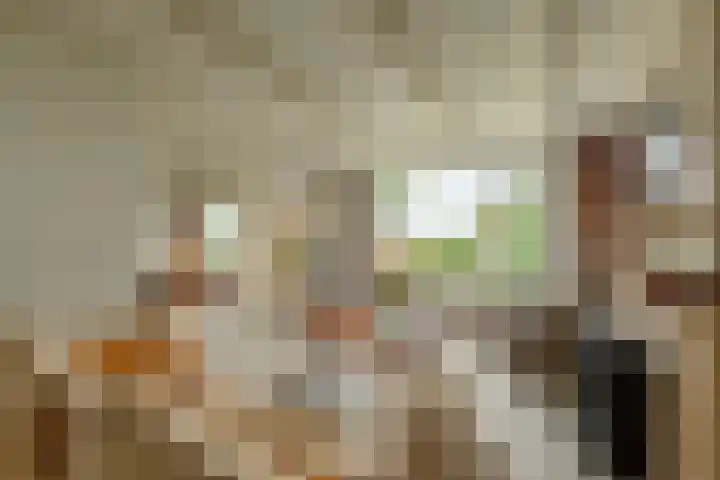 Dorpsweg 27 Idsegahuizum thumbnail 16