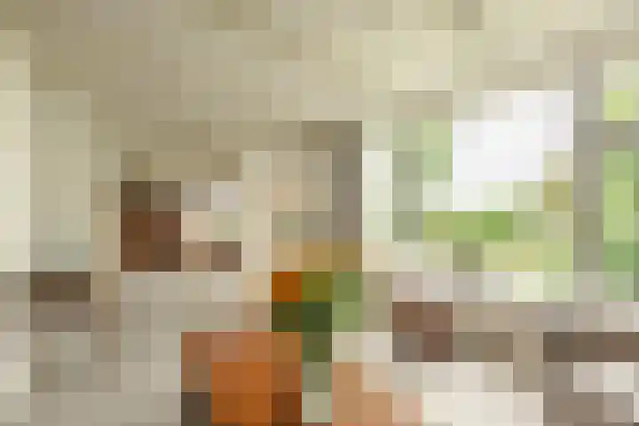 Dorpsweg 27 Idsegahuizum thumbnail 17