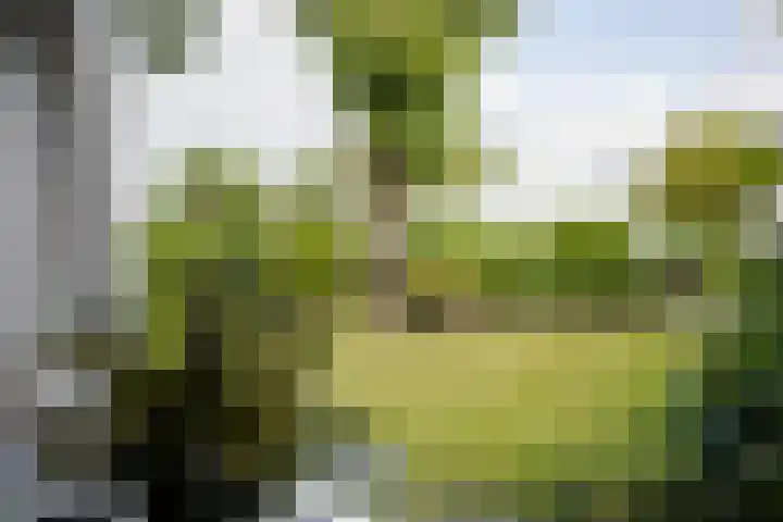 Dorpsweg 27 Idsegahuizum thumbnail 18