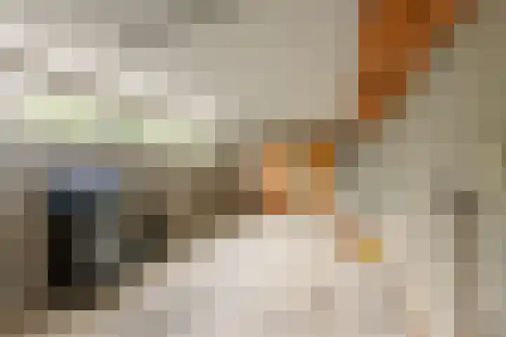 Dorpsweg 27 Idsegahuizum thumbnail 22