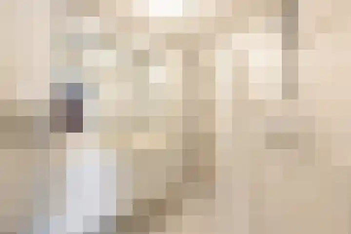 Dorpsweg 27 Idsegahuizum thumbnail 23