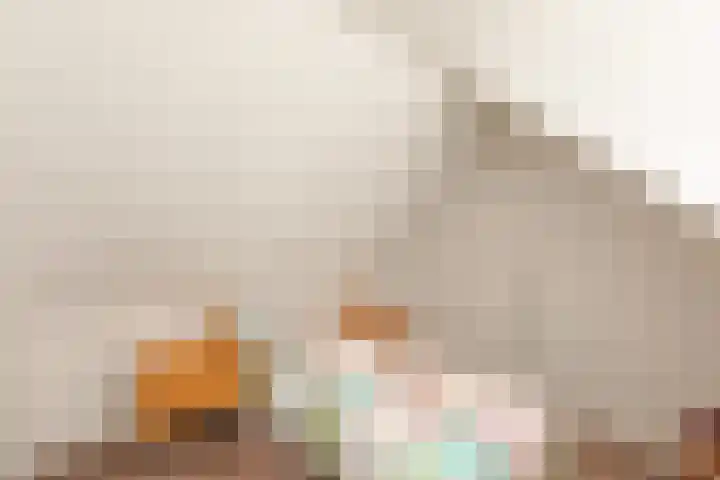 Dorpsweg 27 Idsegahuizum thumbnail 26